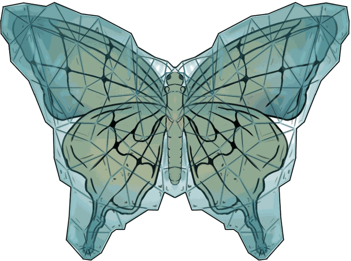 Logo Soft Belly